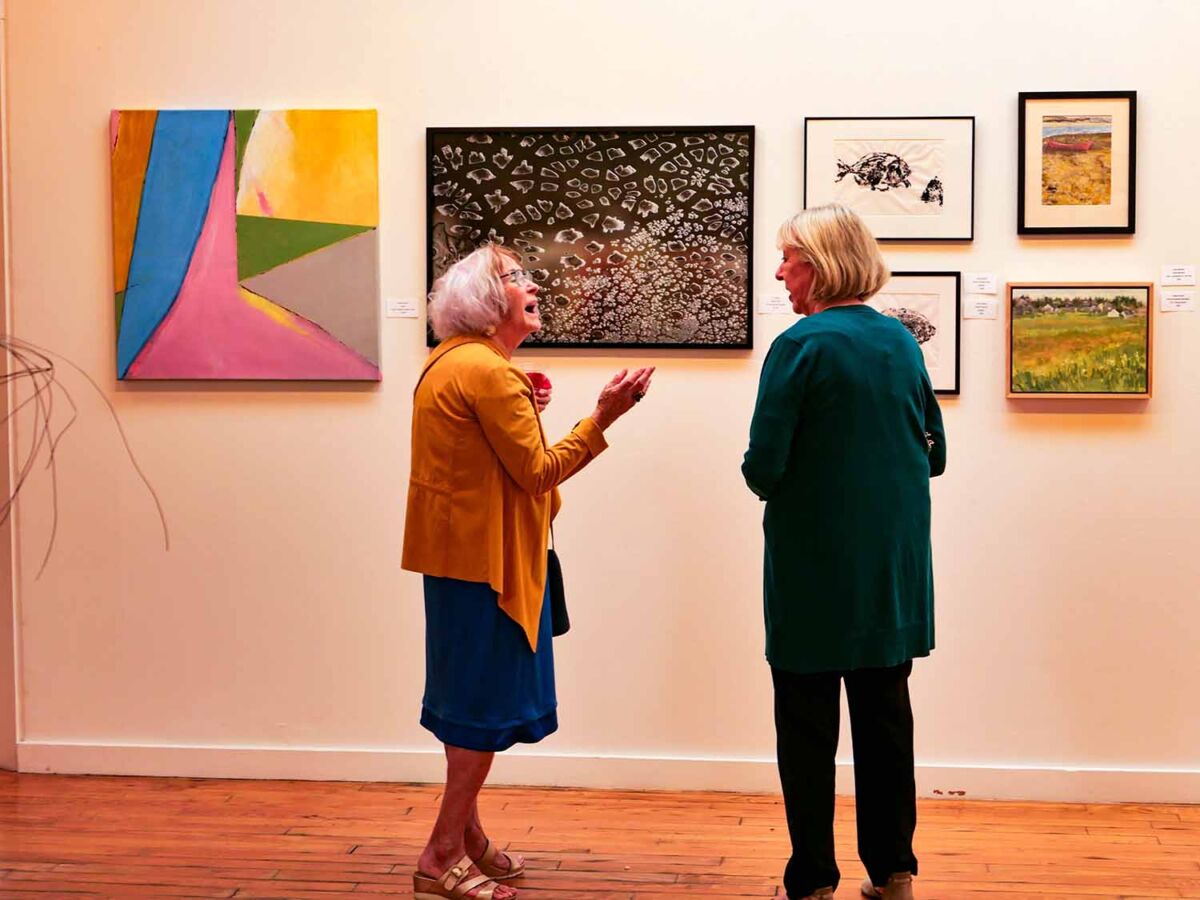 PHOTOS: Gala Reception for Opening Exhibitions 2024 at Barn Gallery ...