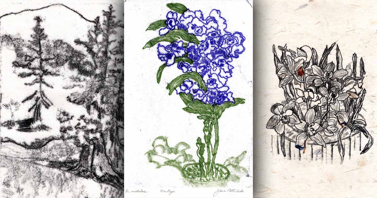 Jane Petschek - Direct Trace Monotypes - Ogunquit Art Association