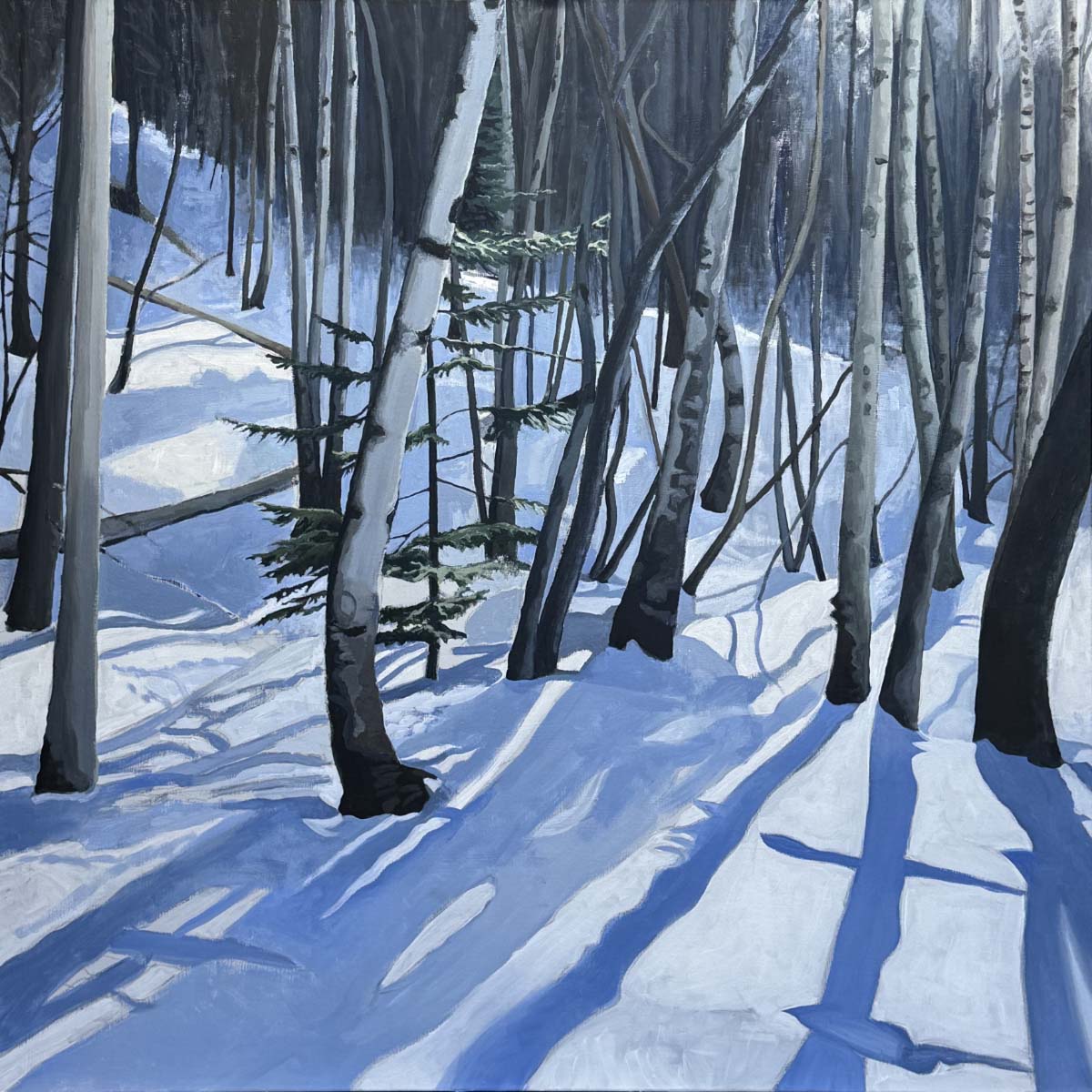 Cheryl McAlister; Shadow and Snow; acrylic on linen; 36 x 36 x 1.5.