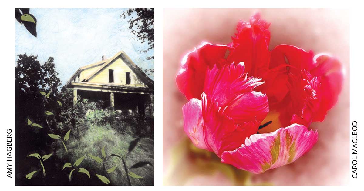 Barn Gallery Artist Talk - Ogunquit Art Association - Amy Hagberg and Carol MacLeod